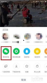 快手怎样转发视频,轻松分享精彩瞬间